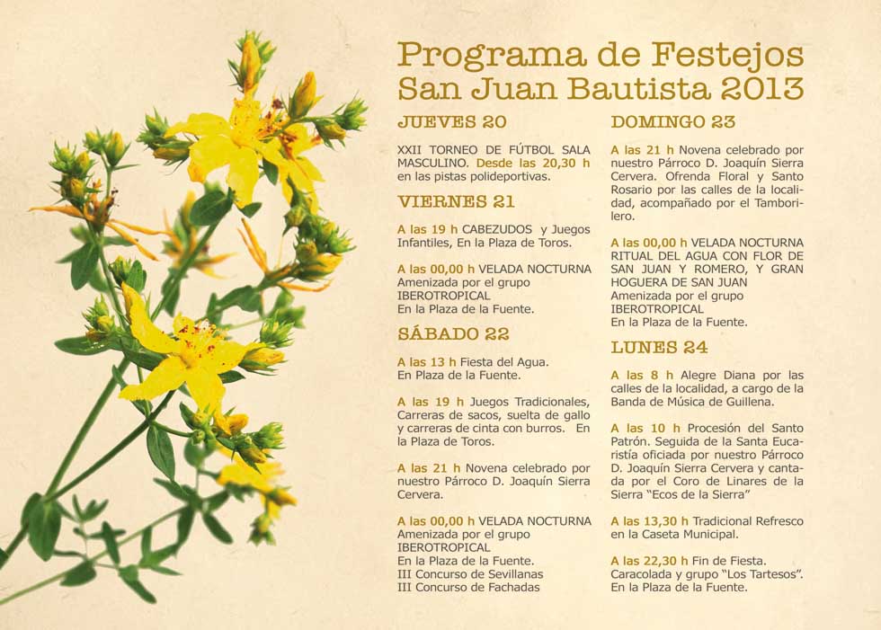 Programa San Juan 2013